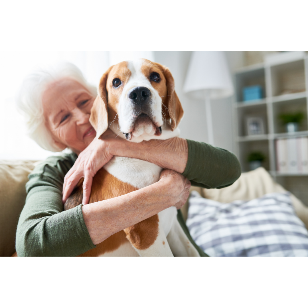 Hover at home Pet Care Services