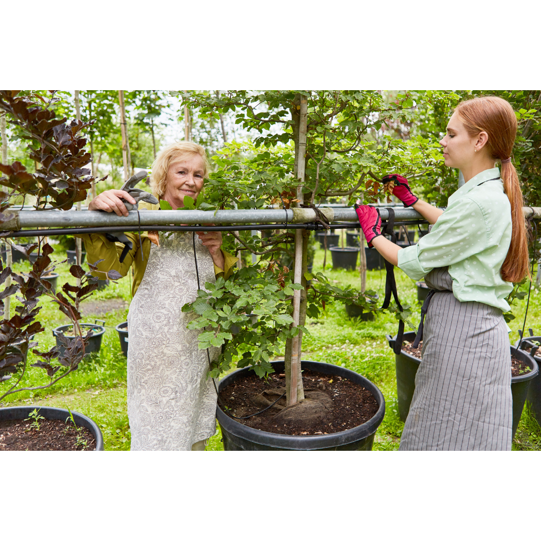Hover at Home Garden care